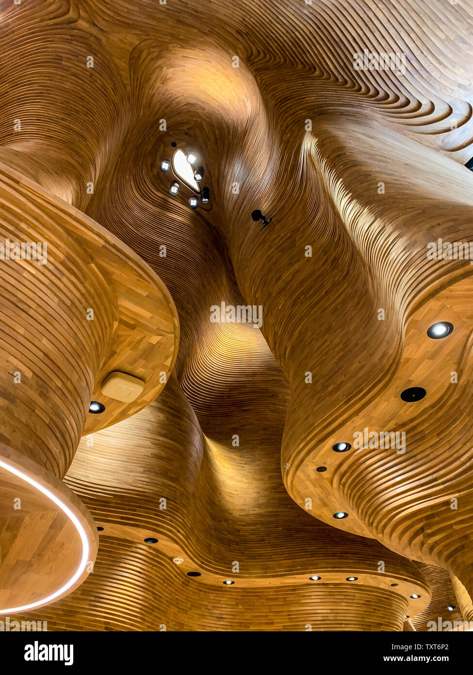 Wooden, dynamic and organic ceiling of the National Museum shop. April 2019, Doha. Stock Photo
