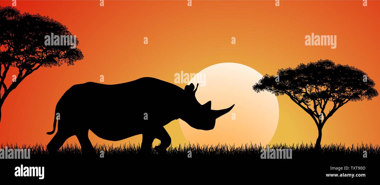 Africa landscape animal sunset tree hi-res stock photography and images -  Alamy