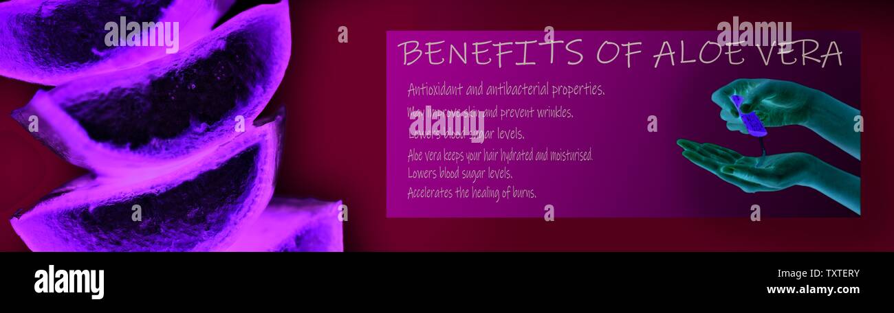 Benefits Of Aloe Vera Aloevera Banner Stock Photo 257464703 Alamy