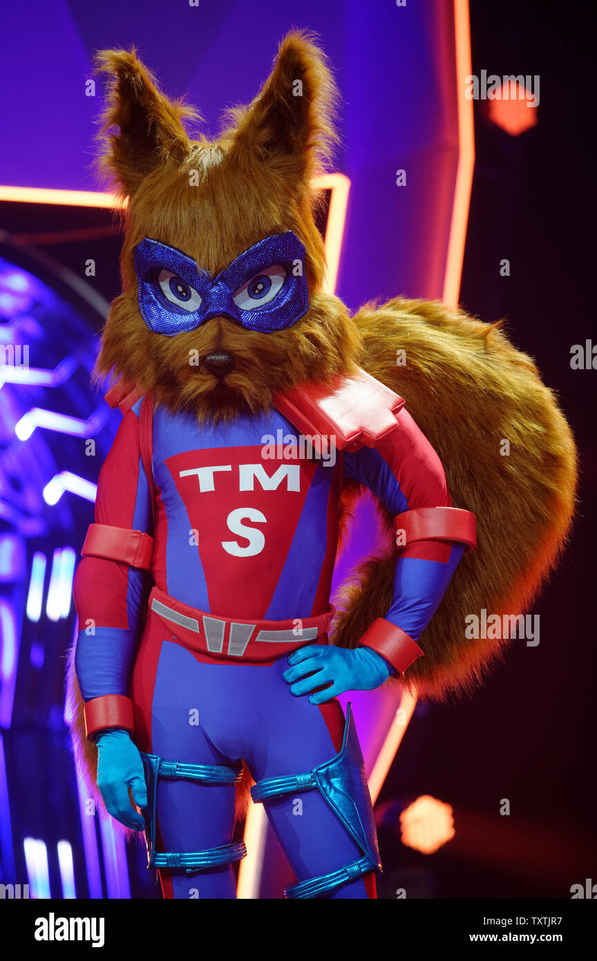 Masked Squirrel High Resolution Stock Photography And Images Alamy Masked Squirrel High Resolution Stock Photography And Images Alamy