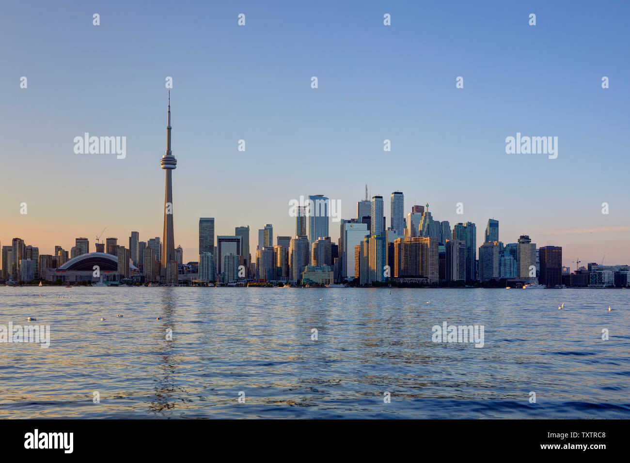 Skyline of Toronto with the iconic CN Tower, Ontario, Canada Stock Photo