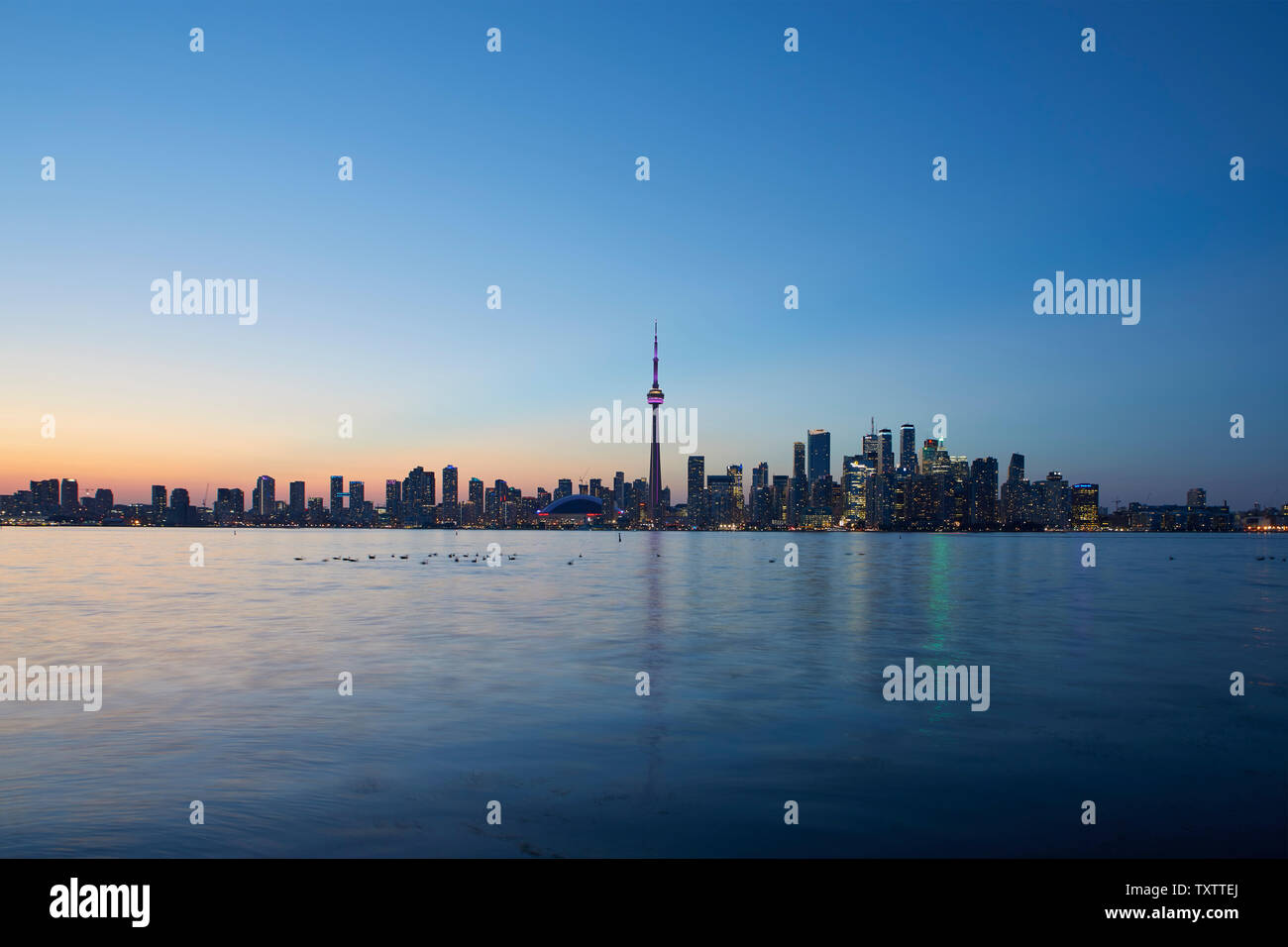Gallery image with a fresh perspective