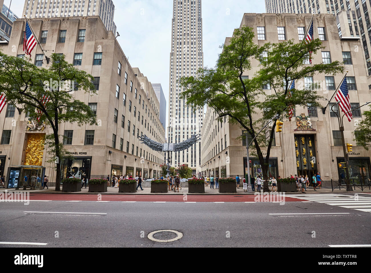 Fifth Avenue - New York City's most well-known avenue