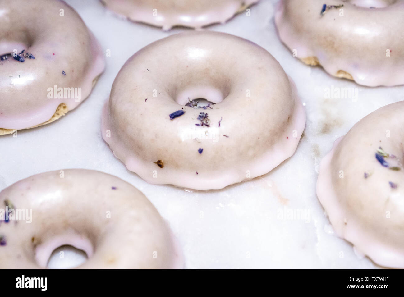 Lavender Doughnuts Dipped in Shiny White Glaze Sprinkled with Dried Lavender Flowers Sitting on a White Marble Surface Stock Photo