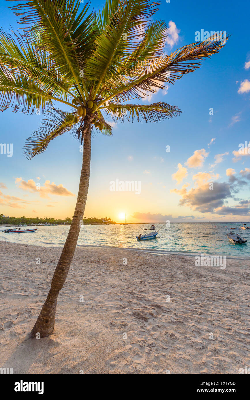 Akumal bay - Caribbean white beach in Riviera Maya, coast of Yucatan ...