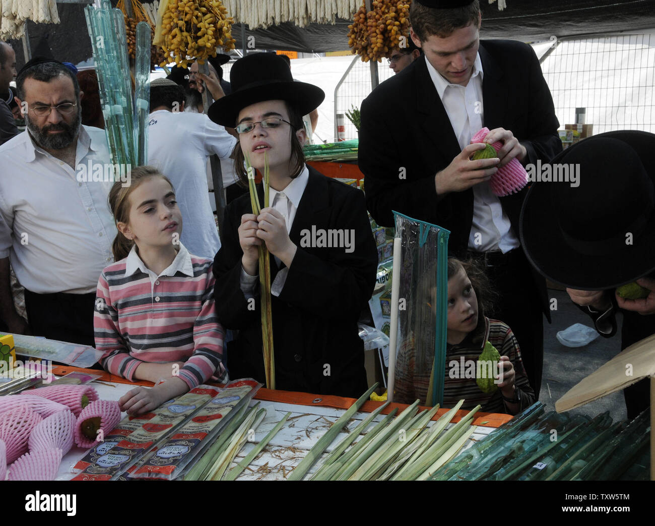 Ultra-Orthodox Jews examine a lulav, the branch of a palm tree, and esrog, two of the four species used during the Festival of Sukkot at a market in  Jerusalem, October 10, 2008.  Observant Jews build a sukkah, a temporary dwelling, during Sukkot to remember the 40 years that the Israelites wandered in the wilderness after leaving Egypt. (UPI Photo/Debbie Hill) Stock Photo