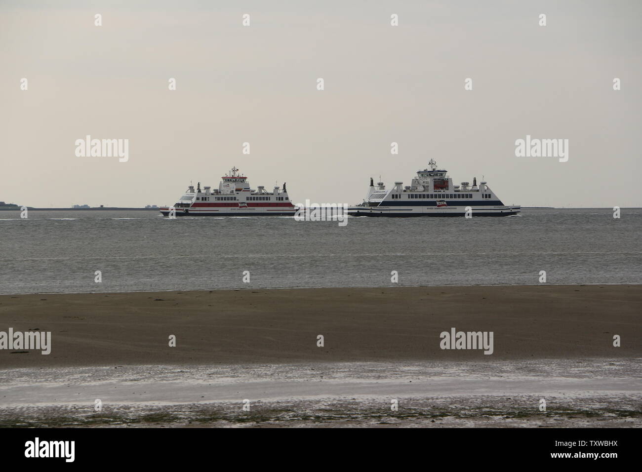 Autofähren zwischen der Nordseeinsel Föhr und der Hallig Langeness Stock Photo