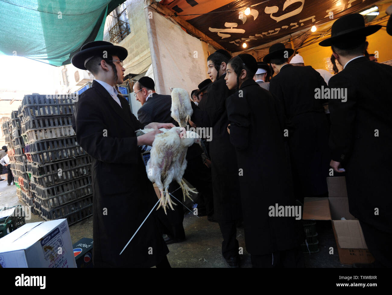 An Ultra-Orthodox Jewish boy holds chickens during the Kaparot ceremony ...