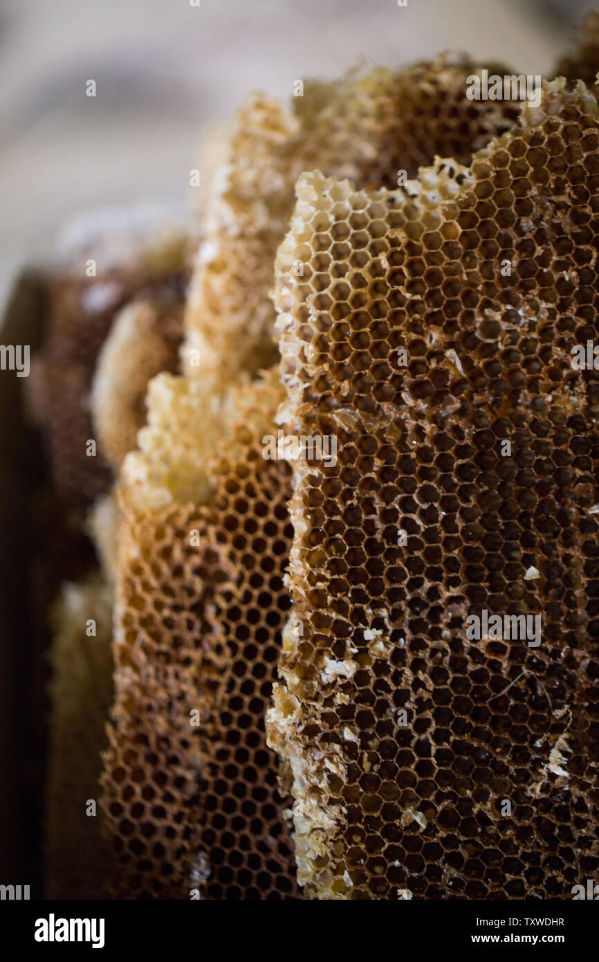 Natural bee Wax from honeycombs. Honeycombs after filtration. Honey harvesting and beekeeping Stock Photo