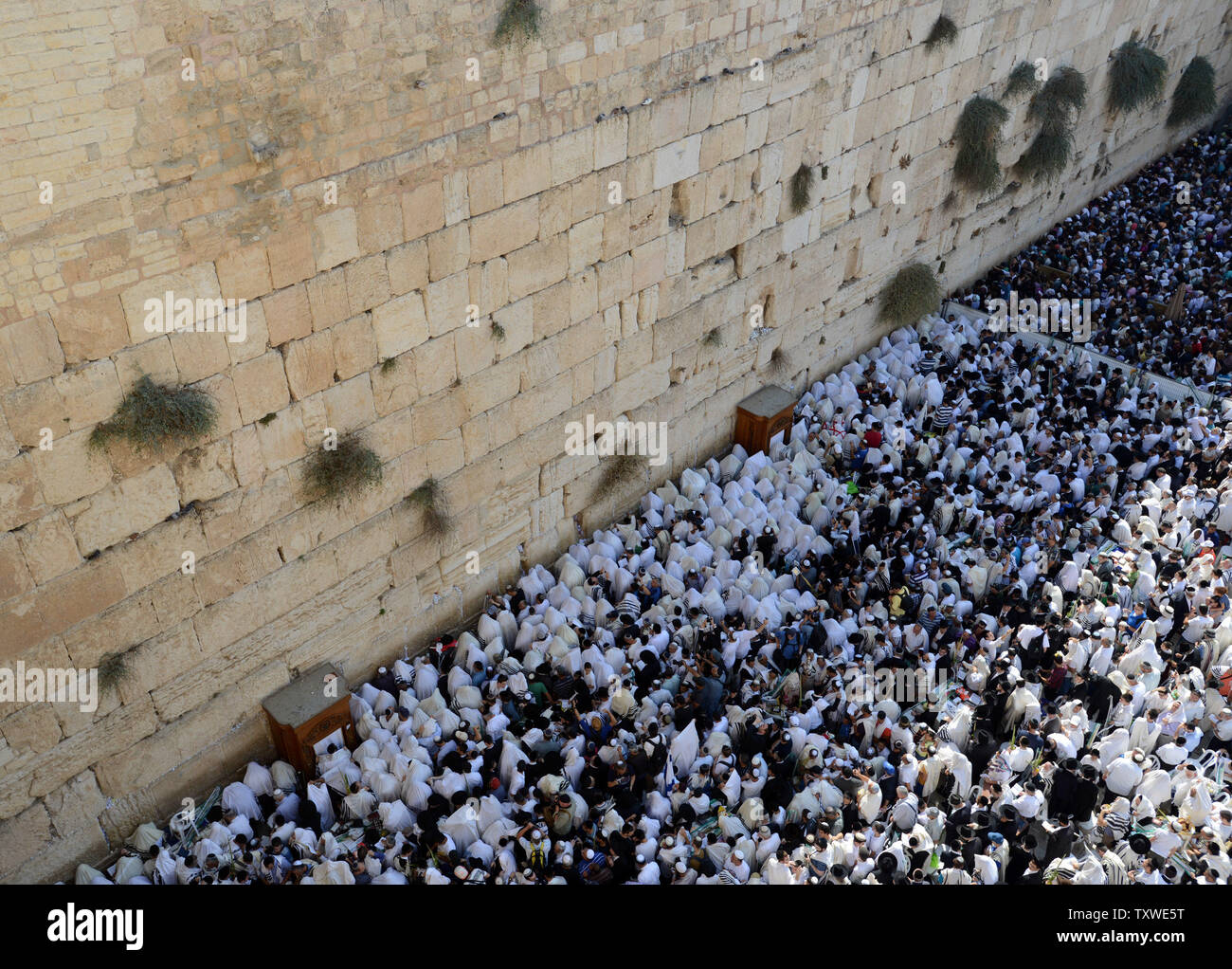 Priestly Blessing Western Wall Jerusalem - 16x20 Gallery Wrapped