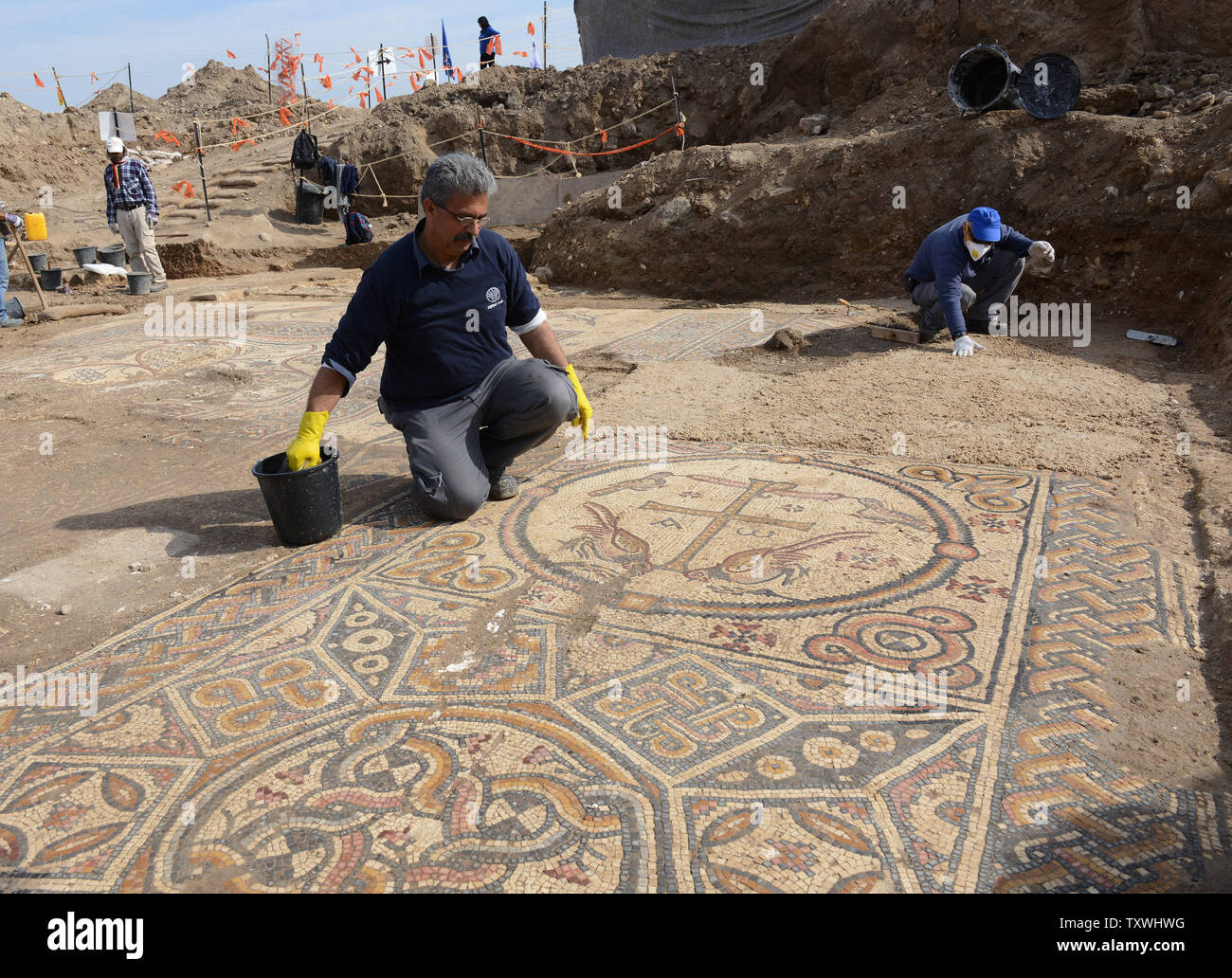 A worker from the Israel Antiquities Authority works on a large colorful mosaic with ancient inscriptions that was found in the remains of a large Byzantine Church, approximately,1,500 years old, during excavations by the Israel Antiquities Authority in Moshav Aluma, in southern Israel, January 22, 2014. The mosaic is a Christogram, with a cross-like figure, that symbolizes Jesus Christ, and birds lifting the symbol to Heaven. The Greek letters for Alpha and Omega are also found in the mosaic. The church is 22 meters long and 12 meters wide and was part of a large and important Byzantine settl Stock Photo
