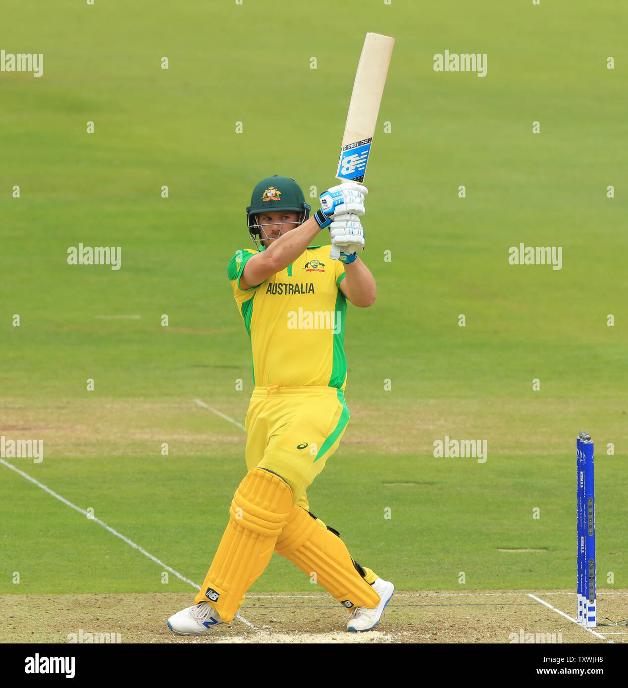 London, UK. 25th June 2019. Aaron Finch of Australia batting during the England v Australia, ICC Cricket World Cup match, at Lords, London, England. Credit: European Sports Photographic Agency/Alamy Live News Stock Photo