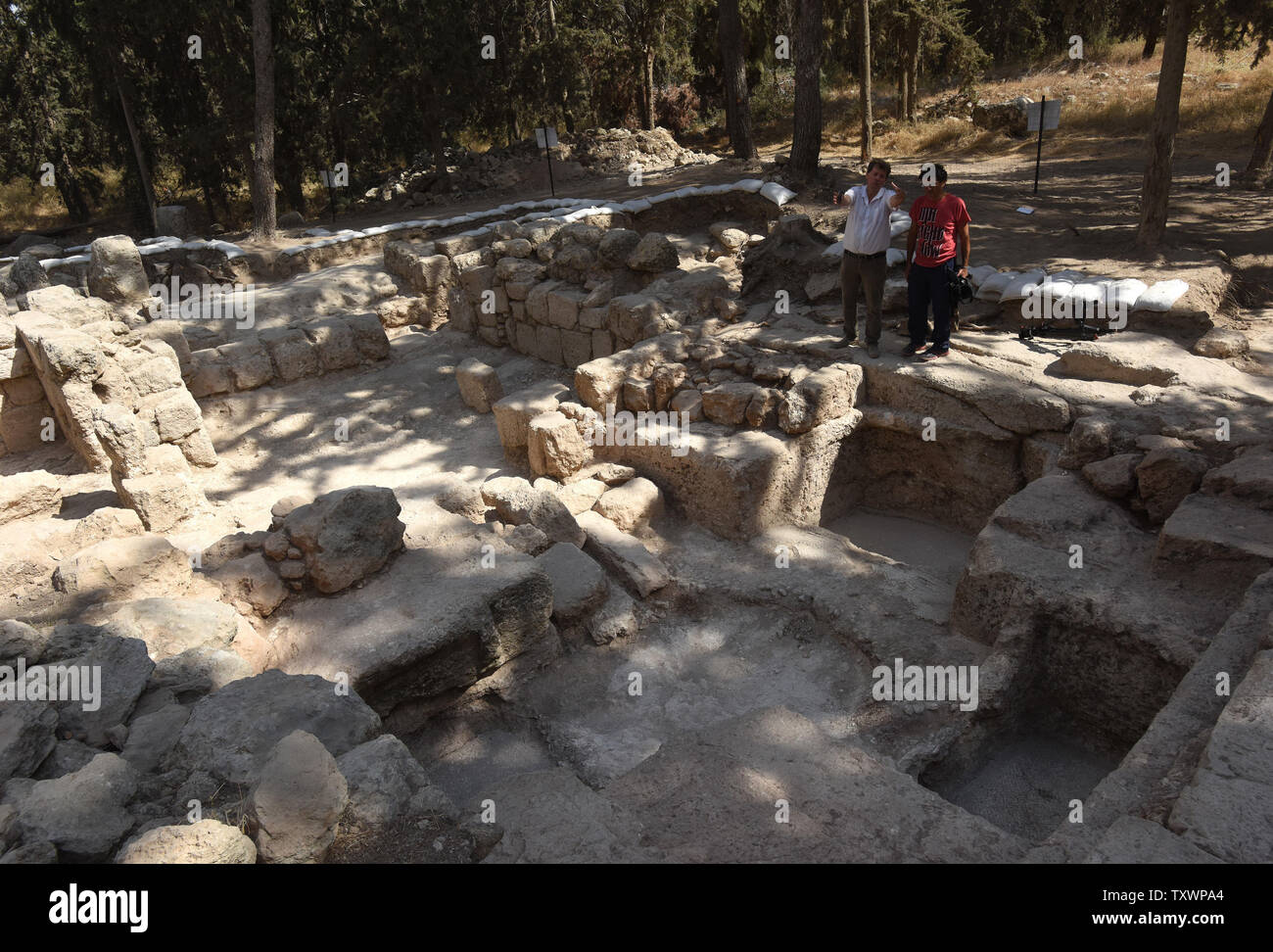An overview of an archeological site that has revealed a large mausoleum uncovered by the Israel Antiquities Authority while searching for the real location of the Tomb of the Maccabees in Modi'in, Israel, September 21, 2015.  Byzantine Period mosaics adorned with a cross were found in the floor of a burial vault believed to be associated with the Tombs of the Maccabees who were exalted saints in the eyes of early Christianity. The Maccabees led the uprising against Greek rule and were responsible for cleansing the impurity from the Second Temple. As yet, archaeological evidence is not current Stock Photo