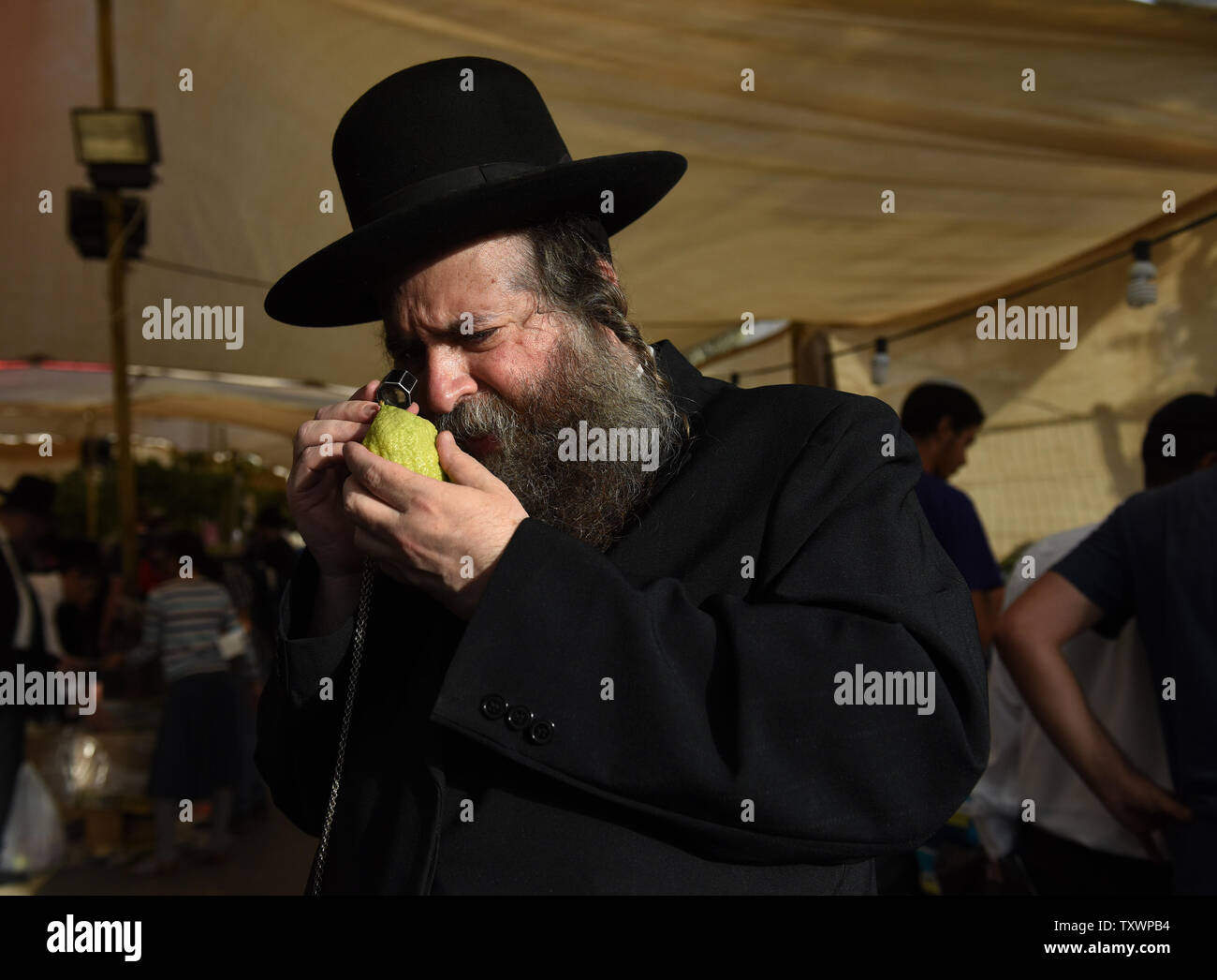 An Ultra Orthodox Jew wears magnifying goggles to inspect the Citron  News Photo - Getty Images