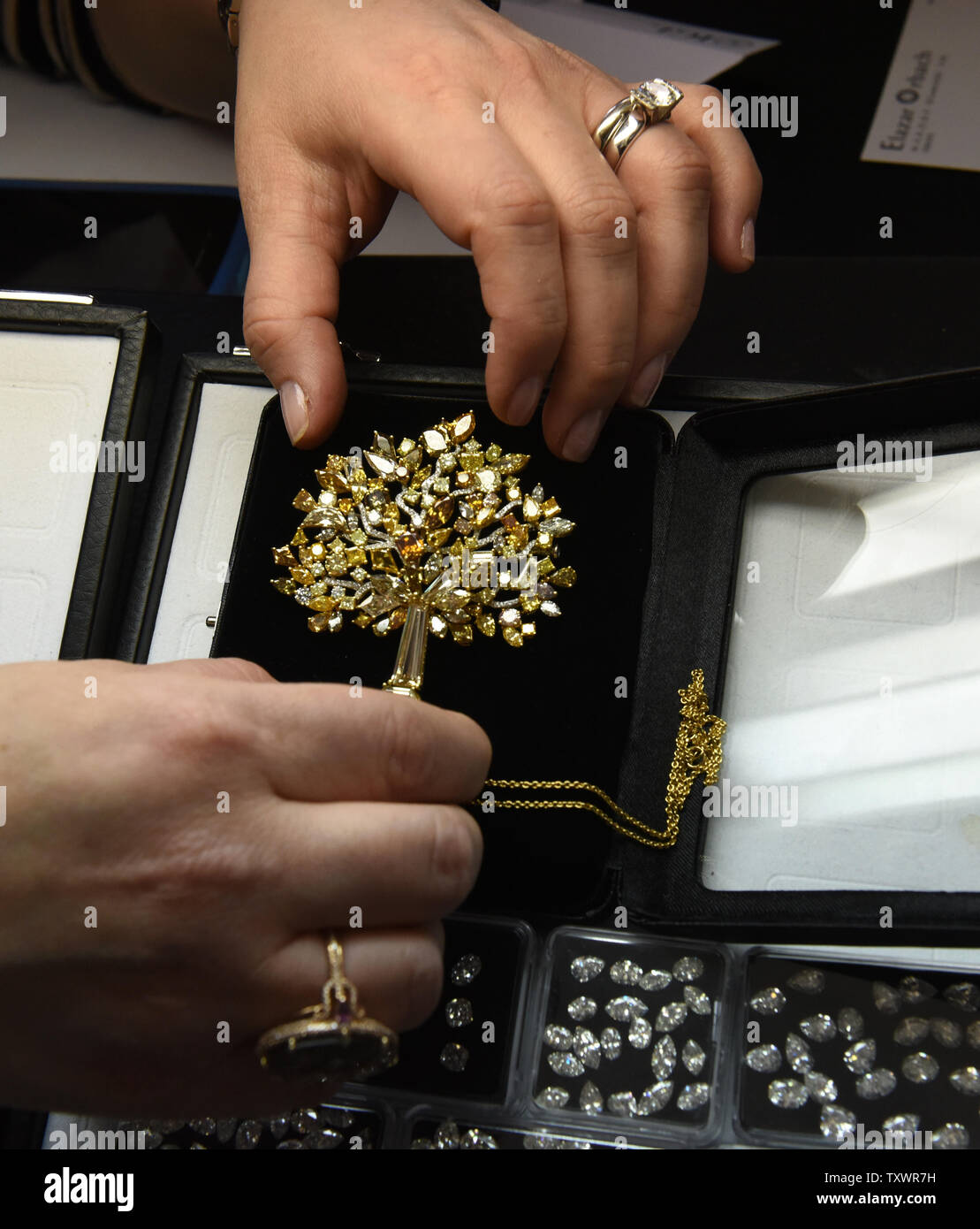 Fortune international jewelry deals