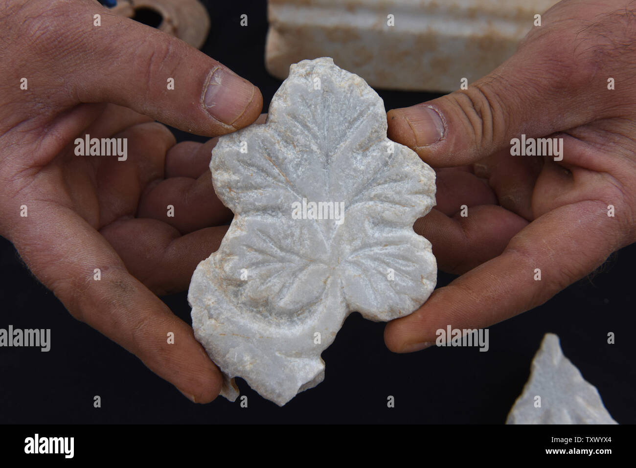 Naftali Aizik, an archeologist with the Israel Antiquities Authority, shows an imported marble grape leaf discovered in an 1,5000 year old Byzantine Period monastery and church uncovered during large scale excavations in Beit Shemesh, Israel, December 20, 2017. The Byzantine structure was discovered during excavations prior to the expansion of Ramat Beit Shemesh for housing. The marble base is engraved with a Maltese cross. Artifacts were found and a number of architectural elements including a marble pillar base decorated with crosses and marble window screens. The artifacts found may indicat Stock Photo