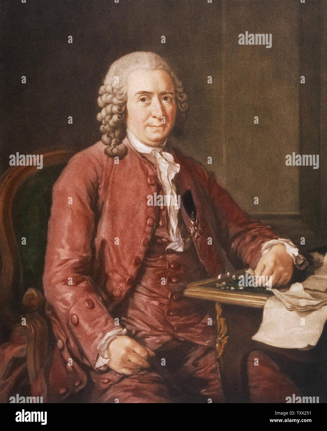 CARL LINNAEUS (1707-1778) Swedish botanist and physician in 1775 Stock Photo