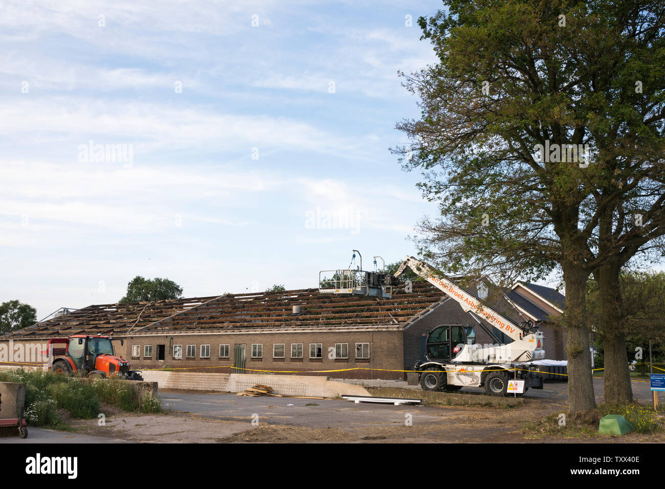 Farm building with removed asbestos roof during renovation of a cowshed in  the Netherlands Stock Photo - Alamy