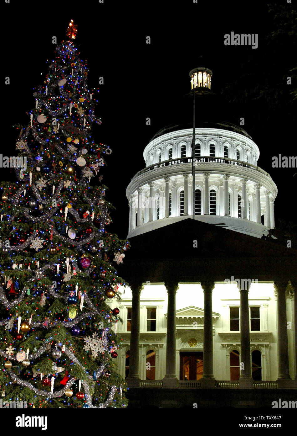 The State Capitol Christmas tree stands illuminated in front of the
