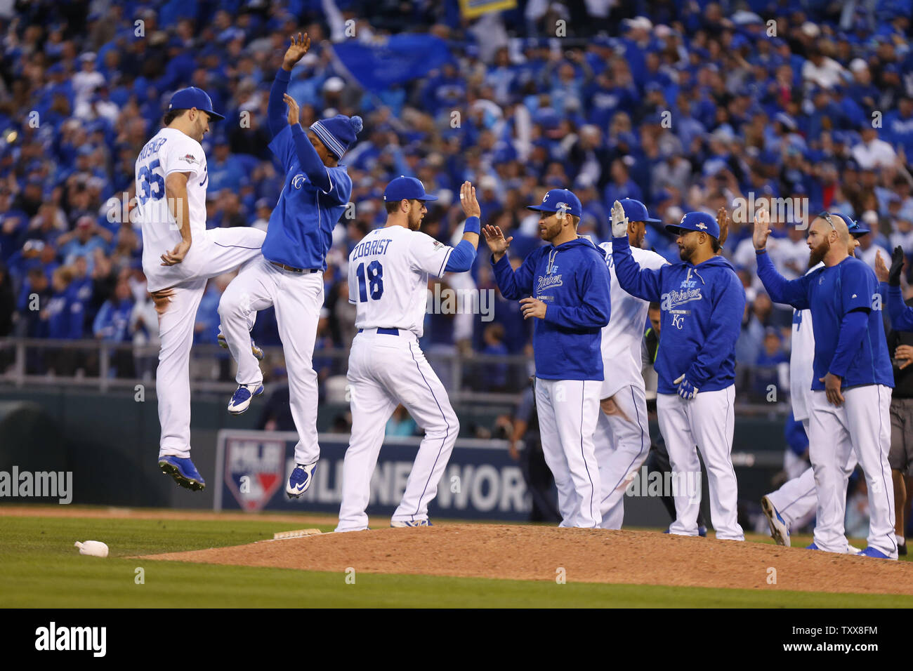 jersey city blue jays