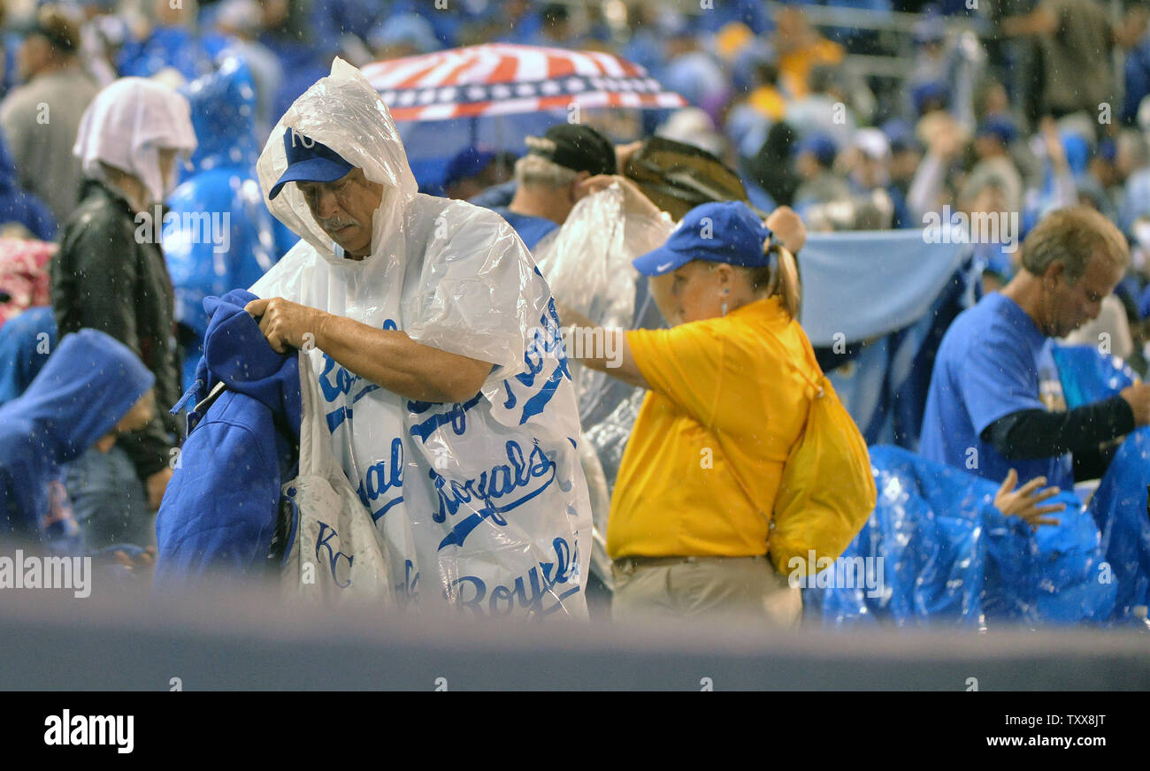 Toronto blue jay hires stock photography and images Alamy