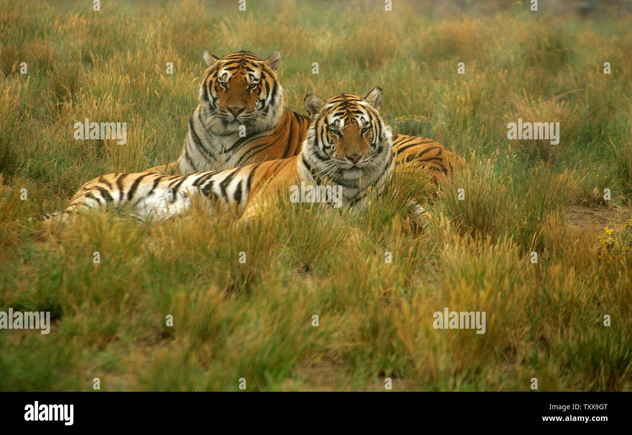 Acres down hires stock photography and images Alamy