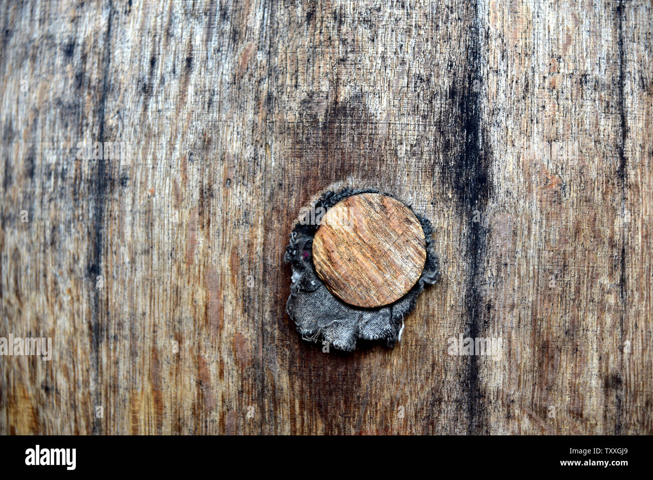closeup and detail of an old wine barrel with wooden plugs as a