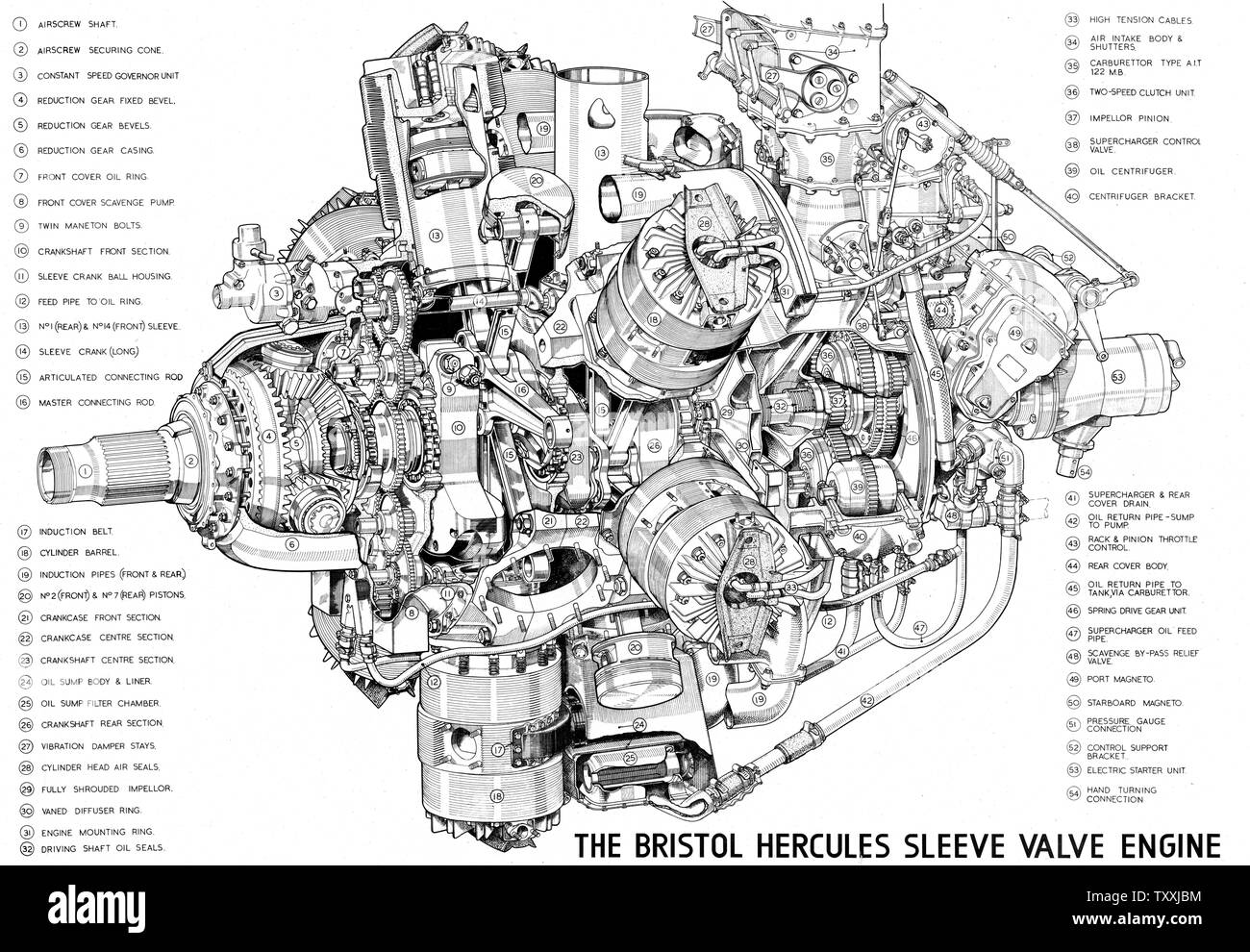 Bristol Hercules aircraft engine cutaway drawing, circa 1943 (44266118) Stock Photo