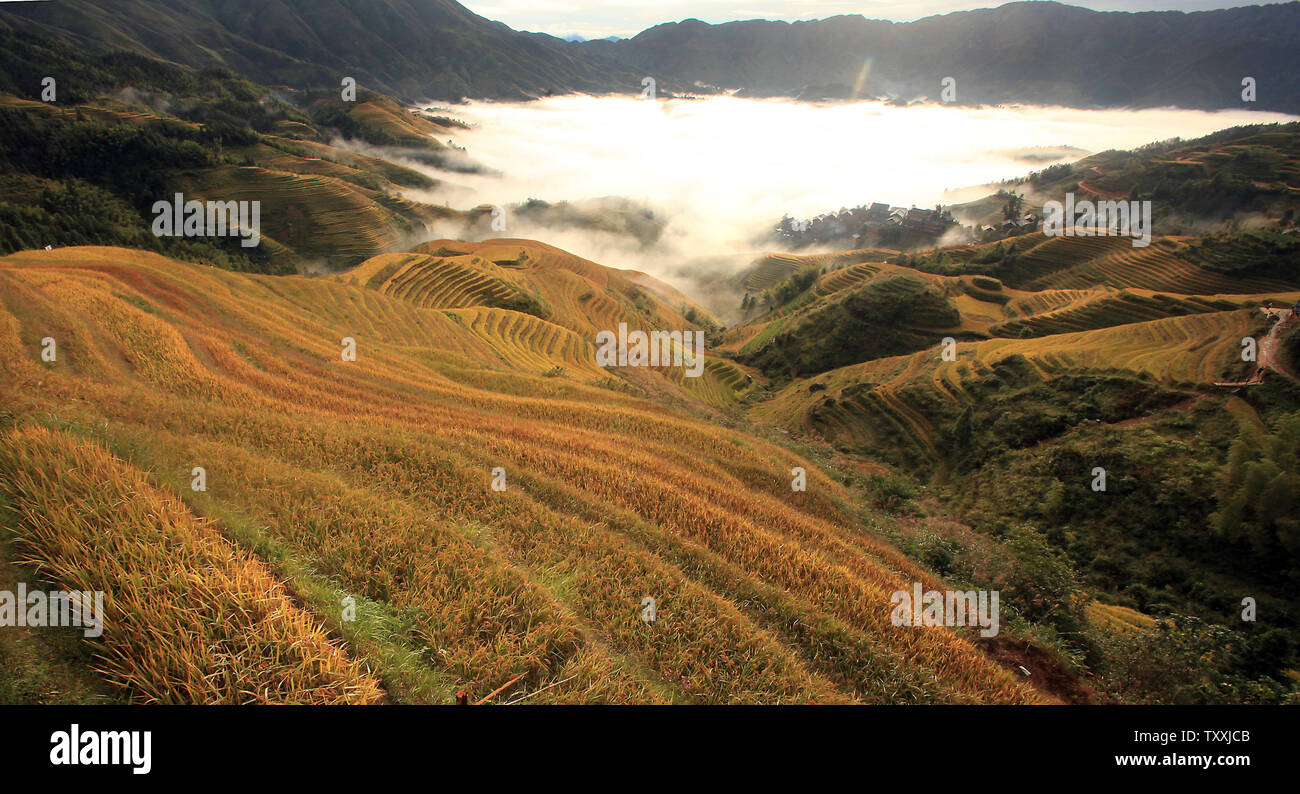 Dragons backbone rice terraces hi-res stock photography and images - Alamy
