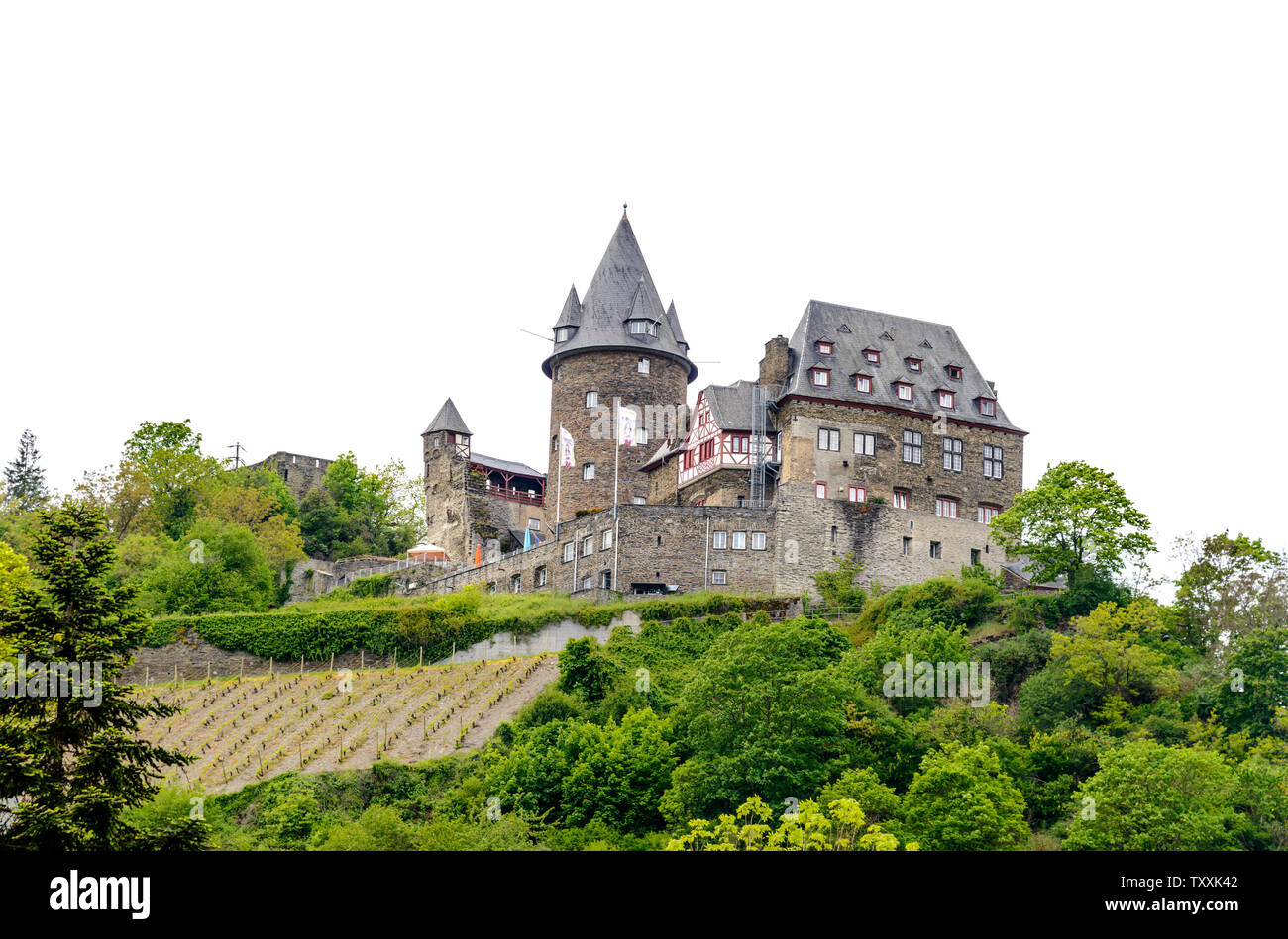 Castle in Bacharach am Rhein. Beautiful Postcard view. Middle Rhine River, (Rhein fluss, Mittelrhein). Rhineland-Palatinate (Rheinland-Pfalz), Germany Stock Photo