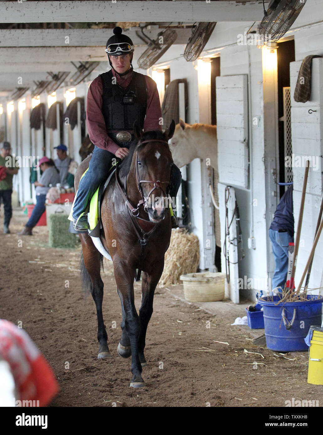 Kentucky Derby Early Favorite Omaha Beach Walks In The Barn After