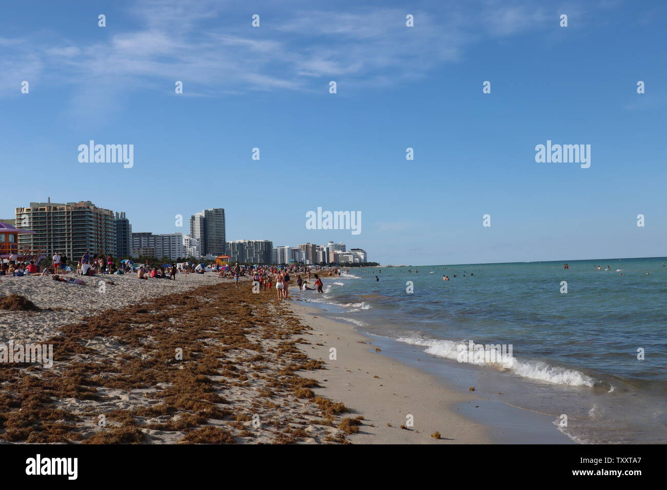 Miami Beach coastline with city view behind Stock Photo
