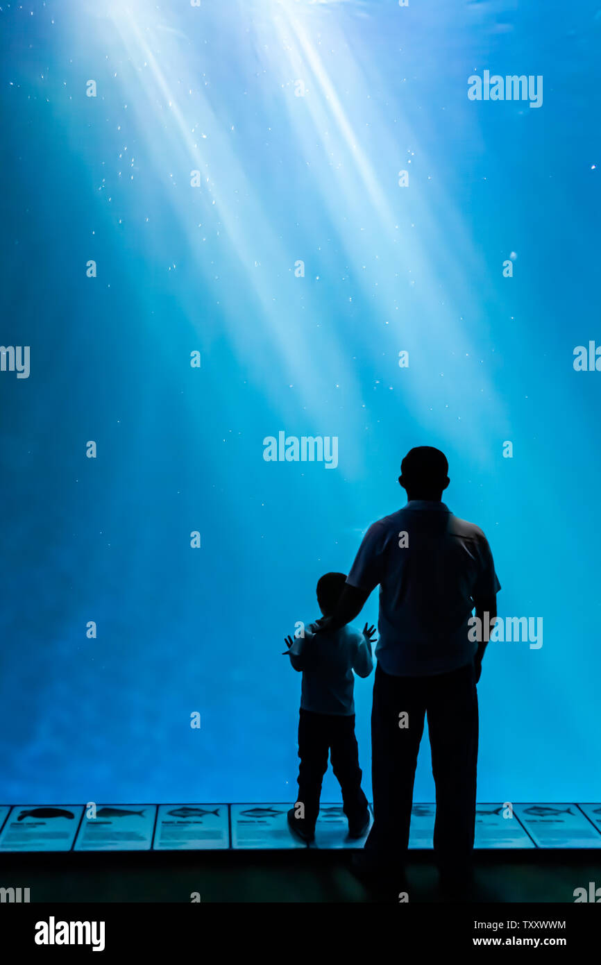 Silhouette of father and son looking into the blue water of a giant aquarium tank. Stock Photo