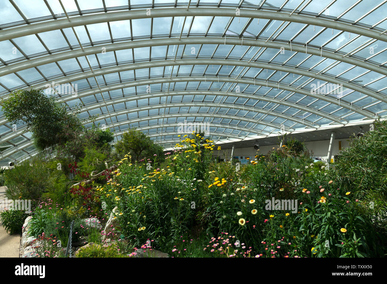 National Botanic Garden of Wales, UK Stock Photo