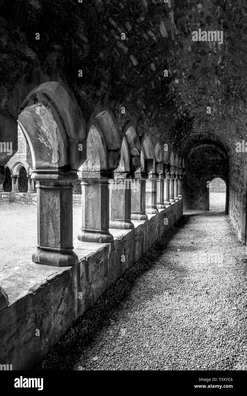 A black and white image of the archways in the cloister in the ruins of Moyne Abbey in County Mayo, Ireland Stock Photo