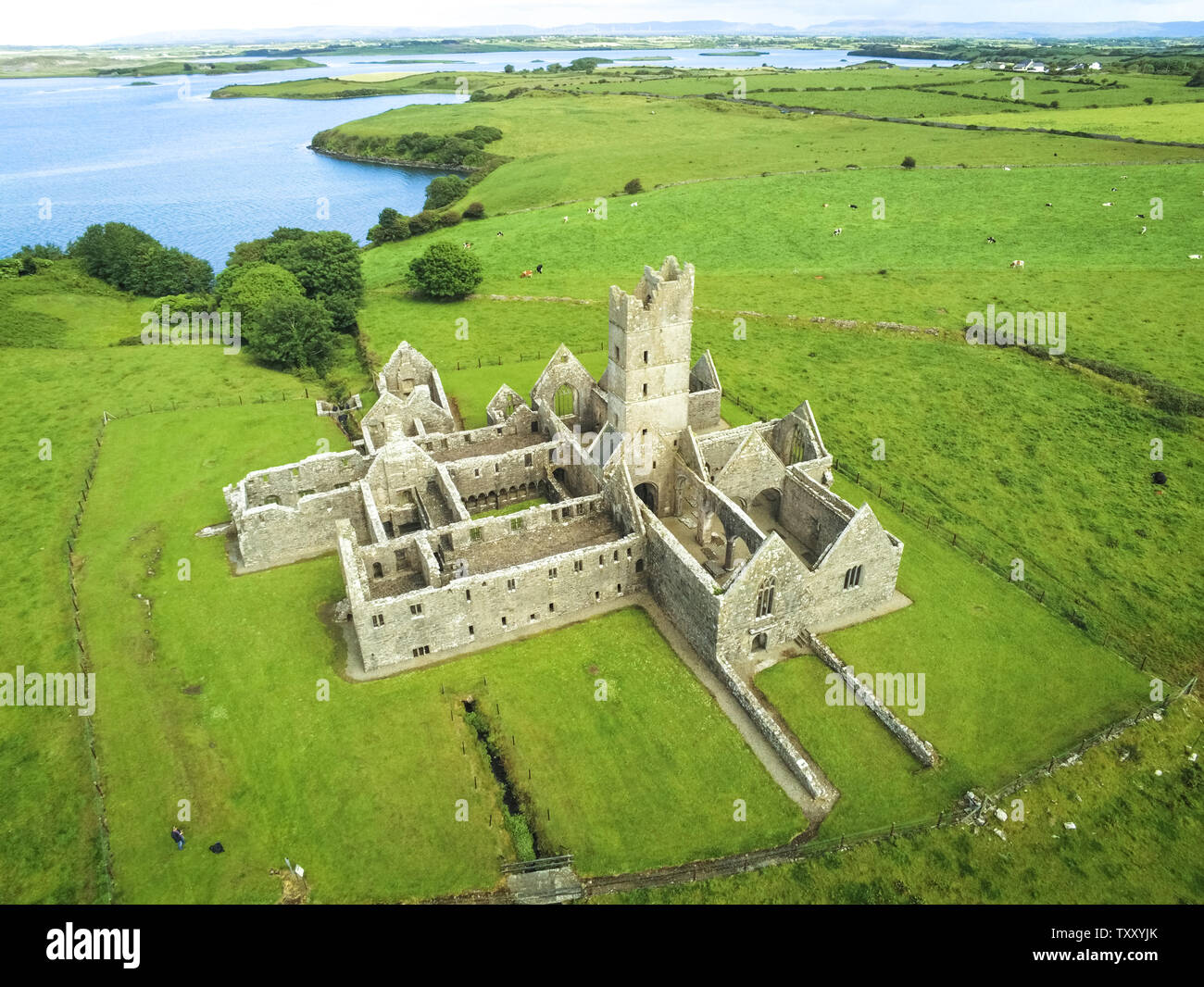 Aerial view of  the Ruins of Moyne Abbey in county Mayo in Ireland Stock Photo