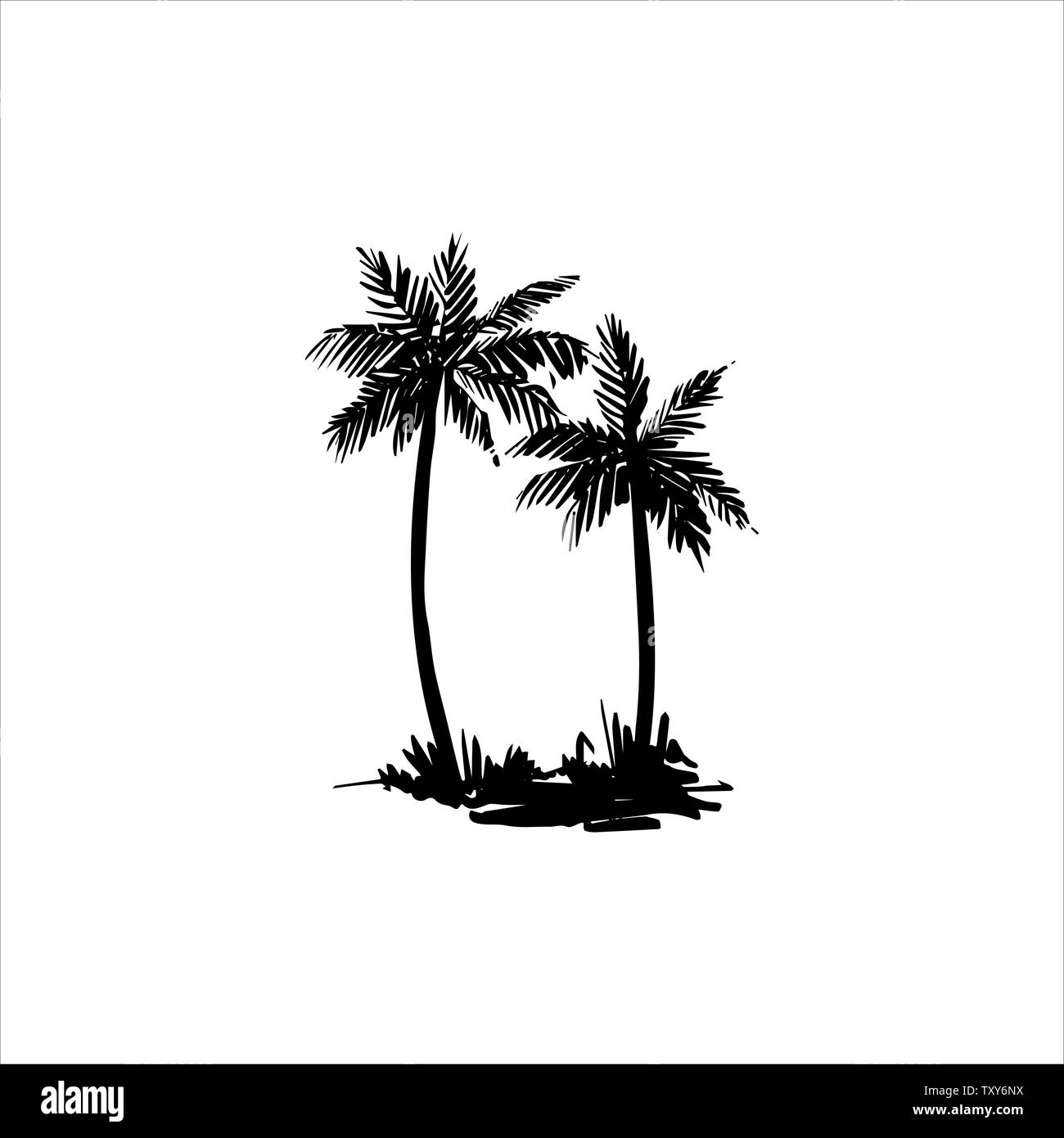 Palm tree vector Black and White Stock Photos & Images - Alamy