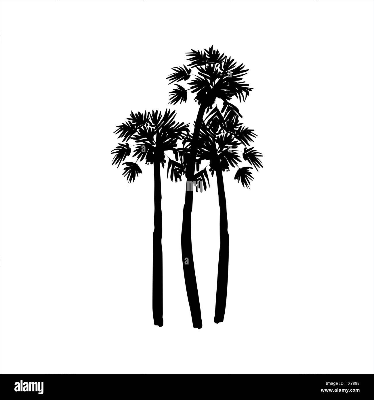 Vector hand drawn illustration of tropical palm tree Stock Vector Image ...