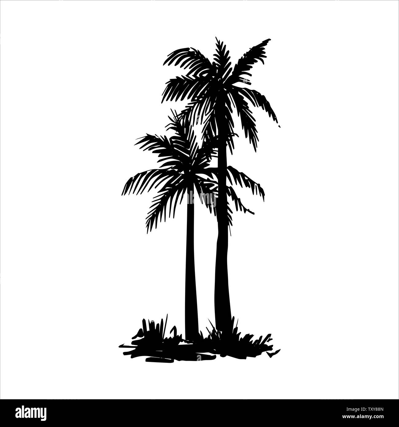 Vector hand drawn illustration of tropical palm tree Stock Vector Image ...