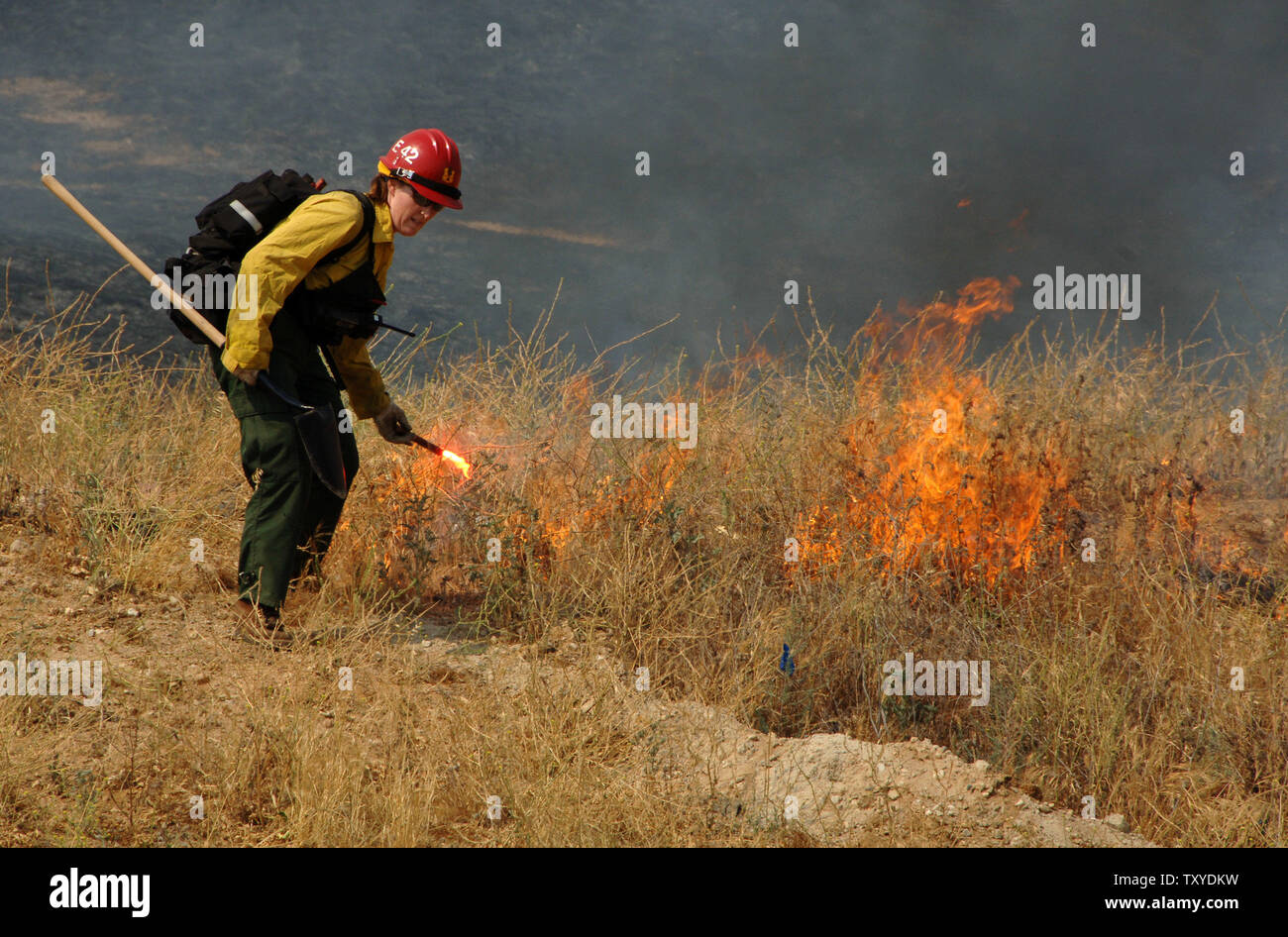 A fireman sets a controlled burn to help combat a wildfire in Yucaipa, California on July 16, 2006. Crews battling wildfires that had destroyed 58 homes and blackened more than 110 square miles faced a threat of thunderstorms Sunday that could produce lightning capable of starting new blazes or heavy rain that would flood the newly denuded land. (UPI Photo/Jim Ruymen) Stock Photo