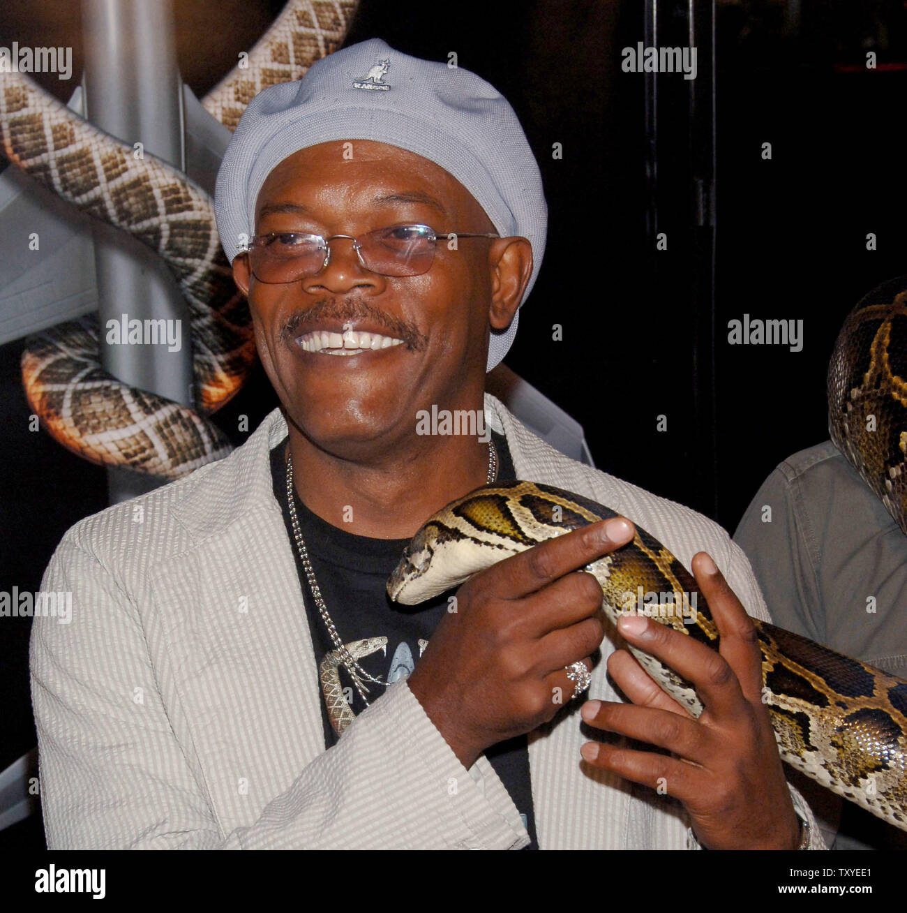 Cast member Samuel L. Jackson handles Kitty Jr., a Burmese python, at the premiere of 'Snakes on a Plane' at  Grauman's Chinese Theatre in the Hollywood section of Los Angeles, California on August 17, 2006. The movie opens in the U.S. on August 18. (UPI Photo/Jim Ruymen) Stock Photo