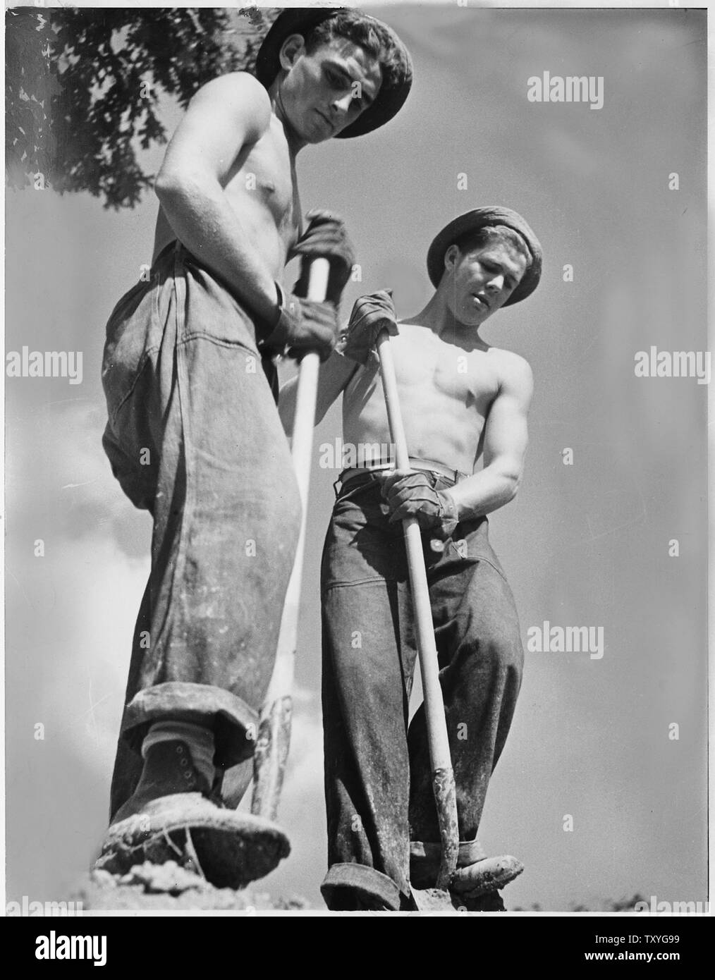 Civilian Conservation Corps at an experimental farm in Beltsville