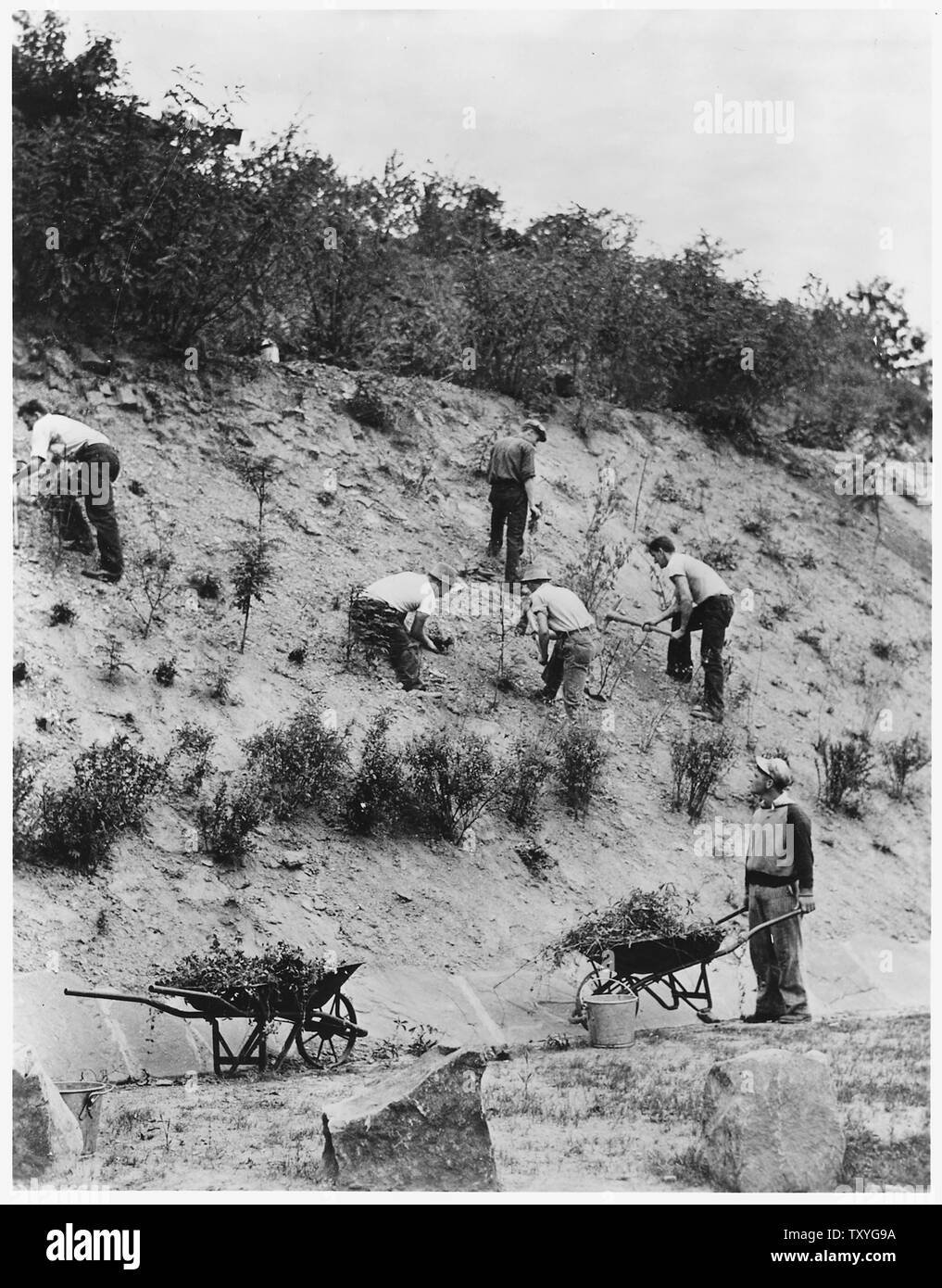 Civilian Conservation Corps enrollees working on highway beutification of route 120 into Pottsville Stock Photo
