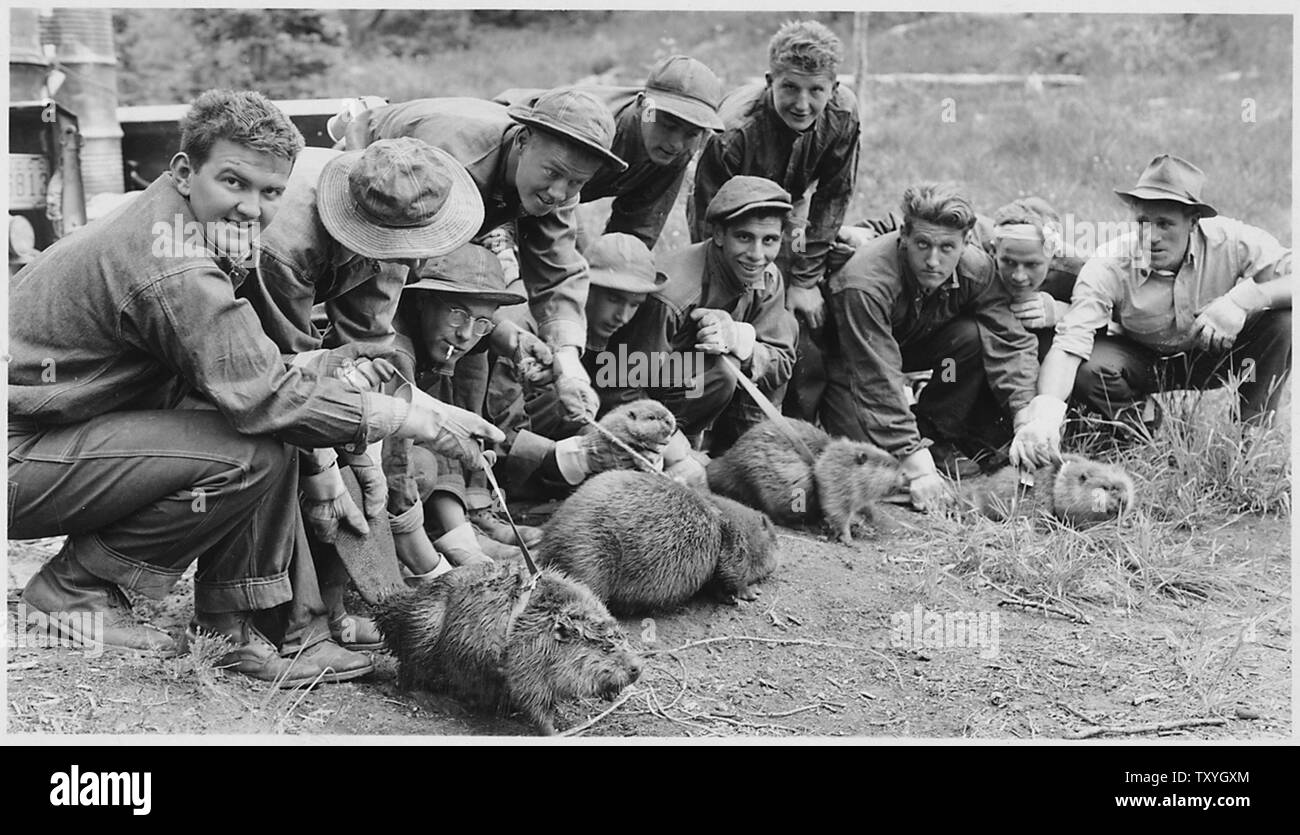 Civilian Conservation Corps in Idaho, Salmon National Forest Camp F