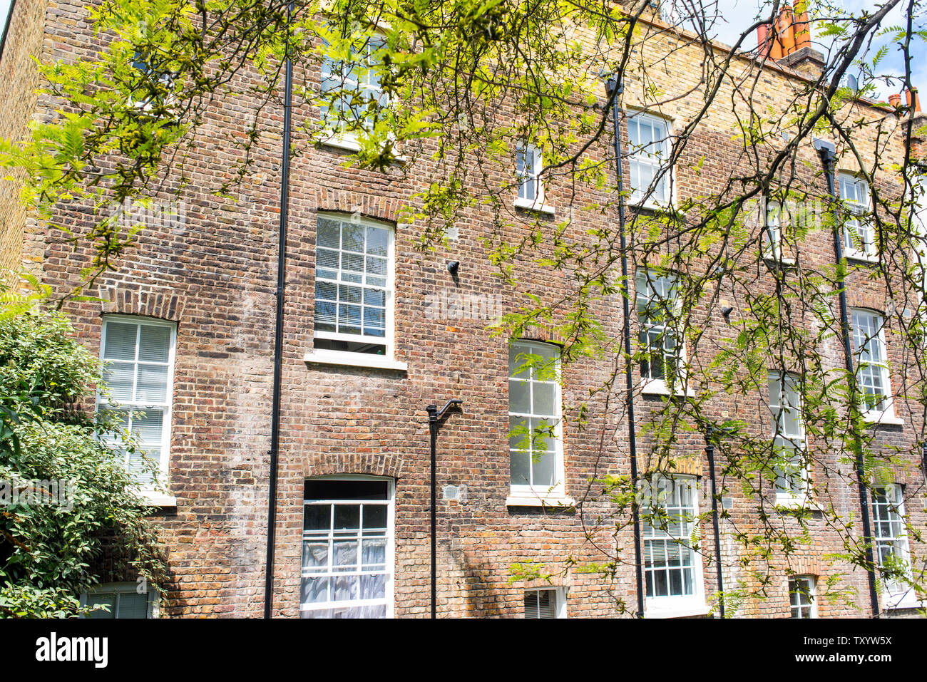 Rear back of Victorian tenements building in red bricks with multiple windows white sash Stock Photo