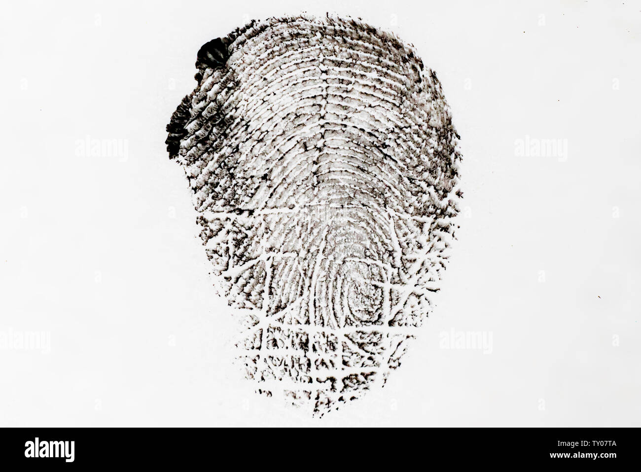 Fingerprint Evidence Stock Photos & Fingerprint Evidence Stock Images