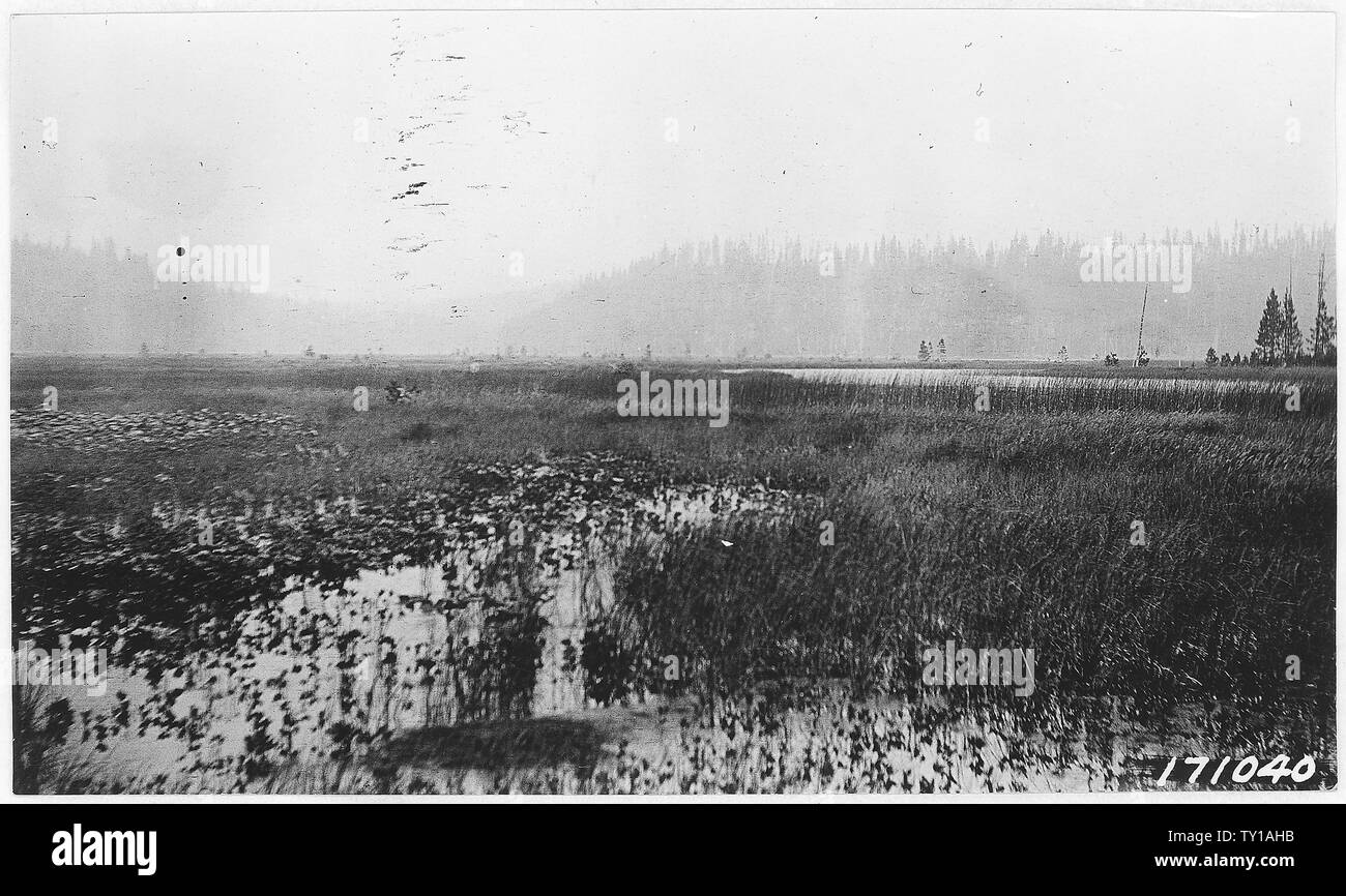 Elk Lake Allotment, Deschutes Forest, Oregon 1922; General notes Mud