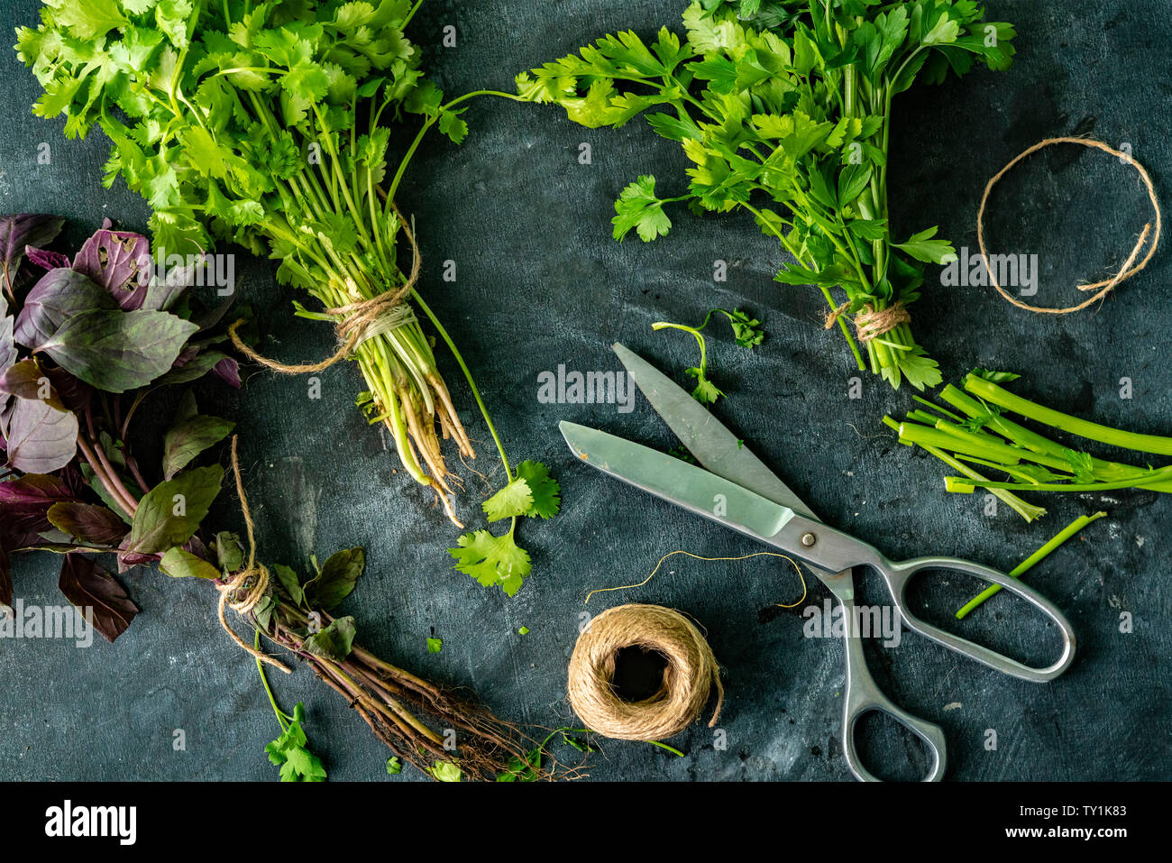 Dry greenery hi-res stock photography and images - Page 15 - Alamy