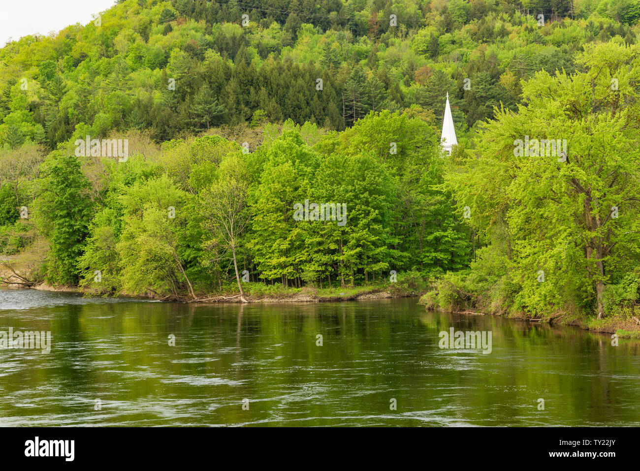 Church steeple and new spring leaves along the Connecticut River, Vermont Stock Photo