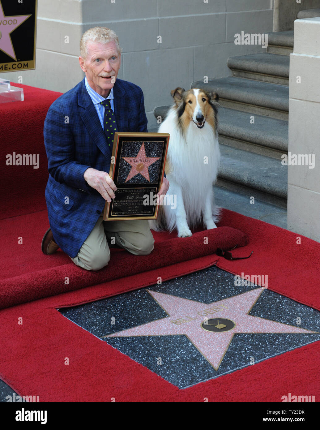 Lassie Got Help, Would Your Dog? - The New York Times